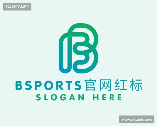了解bsports官网红标